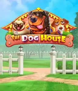 Pragmatic Play's The Dog House Slot, offering a delightful experience through charming canines. Enjoy features including free spins, designed for providing exciting wins. A must-try for pet lovers a cheerful theme and the opportunity to win big.